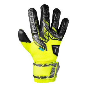 /5/5/5570025-2025_guantes-de-portero-color-amarillo-reusch-attrakt-duo_1_completa-dorso-mano-derecha.jpg