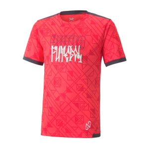 /6/0/605595-08_camiseta-color-rojo-puma-neymar-jr-futebol-nino_1_completa-frontal.jpg