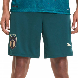 /7/5/756441-03_imagen-de-los-pantalones-cortos-futbol-puma-tercera-equipacion-italia-2019-verde_1_frontal.jpg