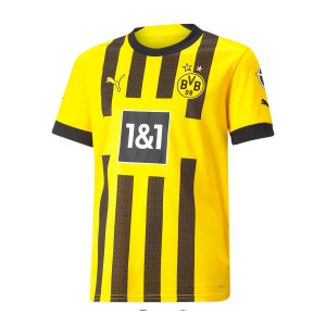 Camiseta Puma 2a Borussia Dortmund niño Haaland 21 22