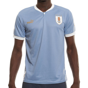 Camiseta Selección Uruguay Remera Celeste Camiseta Oficial del Equipo de  Fútbol Uruguayo by Puma-Edición 2022
