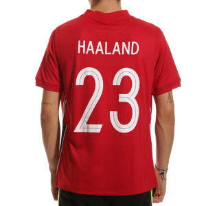 /C/D/CD0718-687-23_camiseta-color-rojo-y-rojo-nike-noruega-haaland-2020-2021-stadium_1_completa-frontal.jpg