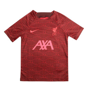 /D/J/DJ8704-609_camiseta-color-rojo-nike-liverpool-nino-dri-fit-pre-match-visitante_1_completa-frontal.jpg
