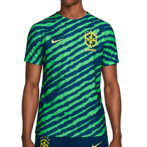 /D/M/DM9544-490_camiseta-color-azul-y-verde-nike-brasil-dri-fit-pre-match_1_completa-frontal.jpg