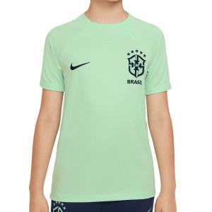 /D/M/DM9610-390_camiseta-color-z-verde-claro-nike-brasil-nino-entrenamiento-dri-fit-academy-pro_1_completa-frontal.jpg