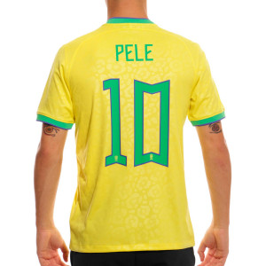 /D/N/DN0680-741-P10_camiseta-color-amarillo-nike-brasil-2022-2023-dri-fit-stadium_1_completa-frontal.jpg