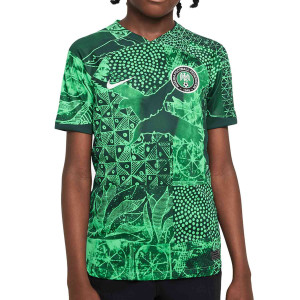 /D/N/DN0839-329_camiseta-color-verde-nike-nigeria-nino-2022-2023-dri-fit-stadium_1_completa-frontal.jpg