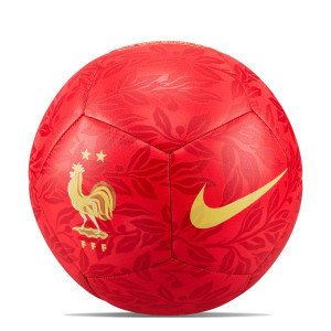 /D/Q/DQ7285-657-4_balon-de-futbol-color-rojo-nike-francia-pitch-talla-4_1_completa-frontal.jpg