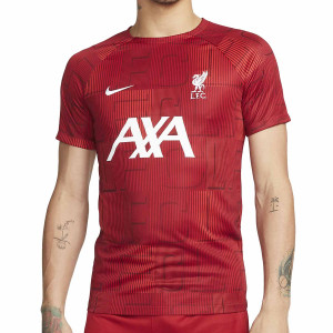 /D/X/DX3614-688_camiseta-color-rojo-nike-liverpool-pre-match-dri-fit-academy-pro_1_completa-frontal.jpg