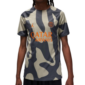 /D/Z/DZ1343-231_camiseta-color-gris-nike-psg-x-jordan-pre-match-dri-fit-academy-pro-ucl_1_completa-frontal.jpg
