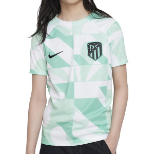 /D/Z/DZ1350-364_camiseta-color-verde-nike-atletico-pre-match-nino-dri-fit-academy-pro-ucl_1_completa-frontal.jpg