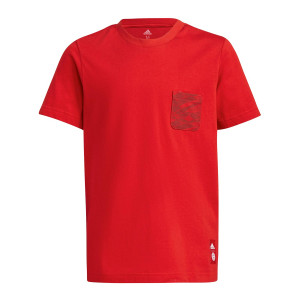 /G/R/GR0678_camiseta-color-rojo-adidas-bayern_1_completa-frontal.jpg