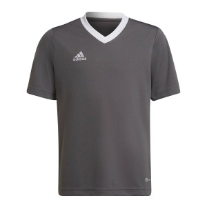 /H/5/H57499_camiseta-color-gris-adidas-entrada-22-nino_1_completa-frontal.jpg