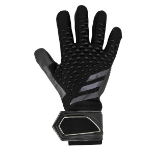 /H/Y/HY4074_guantes-de-portero-color-negro-adidas-predator-competition_1_completa-dorso-mano-derecha.jpg