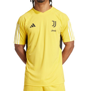 /I/Q/IQ0875_camiseta-color-amarillo-adidas-juventus-entrenamiento_1_completa-frontal.jpg