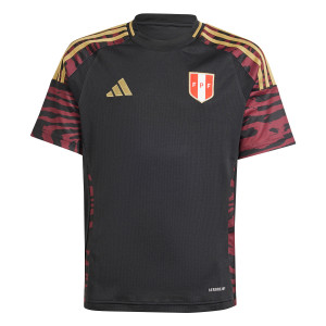 /I/Q/IQ2446_camiseta-color-negro-adidas-2a-peru-nino-2024_1_completa-frontal.jpg