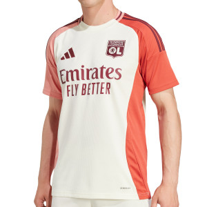 /I/T/IT6507_camiseta-color-marron-adidas-3a-olympique-lyon-2024-2025_1_completa-frontal.jpg