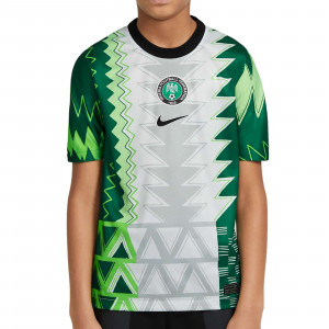 /c/t/ct4233-100_imagen-de-la-camiseta-de-la-primera-equipacion-junior-seleccion-nigeria-nike-stadium-2020-2021-verde_1_frontal.jpg