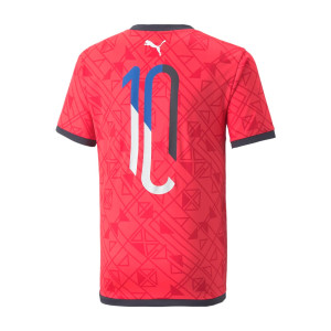 /6/0/605595-08_camiseta-roja-puma-neymar-jr-futebol-nino_2_completa-trasera.jpg