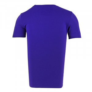 /7/2/725891-547_imagen-de-la-camiseta-entrenamiento-futbol-Nike-dry-football-top-2019-morado_2_trasera.jpg