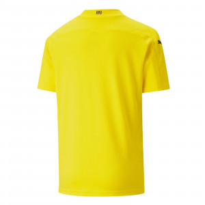 /7/5/757159-01_imagen-de-la-camiseta-de-futbol-primera-equipacion-puma-2020-amarillo-negro_2_trasera.jpg