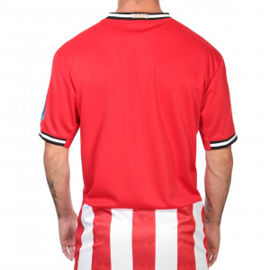 /7/5/758663-11_imagen-de-la-camiseta-de-futbol-primera-equipacion-puma--psv-eindhoven-2020-2021--rojo--blanco_2_trasera.jpg