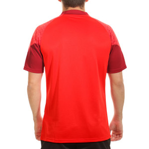 /9/3/939045-01_camiseta-roja-puma-girona-entreno-team-cup_2_completa-trasera.jpg