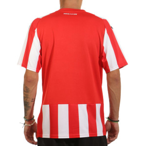 /9/3/939107-01_camiseta-roja--blanca-puma-sporting-de-gijon-2023-2024_2_completa-trasera.jpg