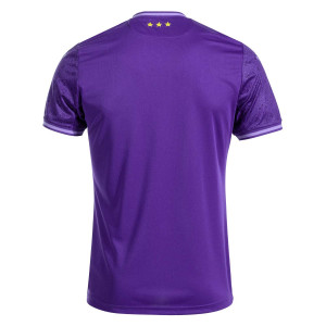 /A/0/A010601B0101_camiseta-purpura-joma-anderlecht-2024-2025_2_completa-trasera.jpg