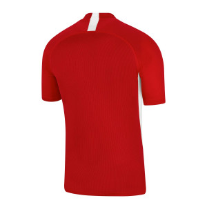 /A/J/AJ0998-657_camiseta-roja-nike-dri-fit-legend_2_completa-trasera.jpg