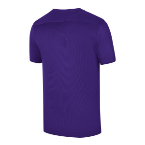 /B/V/BV6741-547_camiseta-purpura-nike-nino-dri-fit-park-7_2_completa-trasera.jpg