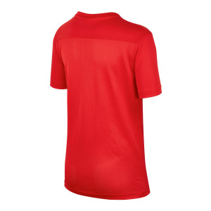 /B/V/BV6741-657_camiseta-roja-nike-nino-dri-fit-park-7_2_completa-trasera.jpg
