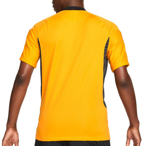 /C/V/CV7901-706_camiseta-amarilla-nike-kaizer-chiefs-2021-2022-dri-fit-stadium_2_completa-trasera.jpg