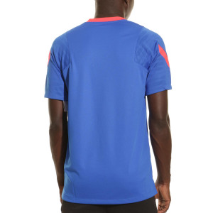 /C/W/CW1833-440_camiseta-azul-nike-atletico-entrenamiento-dri-fit-strike_2_completa-trasera.jpg