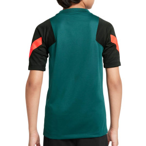 /D/B/DB1220-376_camiseta-verde-azulado-nike-liverpool-nino-entrenamiento-dri-fit-strike_2_completa-trasera.jpg