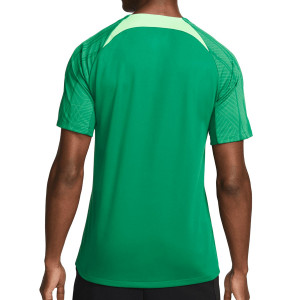 /D/H/DH6447-302_camiseta-verde-nike-nigeria-entrenamiento-dri-fit-strike_2_completa-trasera.jpg