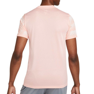 /D/H/DH9671-697_camiseta-rosa-salmon-nike-fc-dri-fit-libero-graphics_2_completa-trasera.jpg