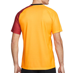 /D/J/DJ7722-837_camiseta-naranja--granate-nike-galatasaray-2022-2023-dri-fit_2_completa-trasera.jpg