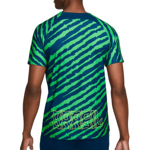 /D/M/DM9544-490_camiseta-azul--verde-nike-brasil-dri-fit-pre-match_2_completa-trasera.jpg