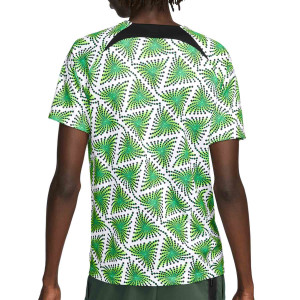 /D/M/DM9551-398_camiseta-verde--blanca-nike-nigeria-dri-fit-pre-match_2_completa-trasera.jpg