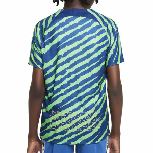 /D/M/DM9617-490_camiseta-azul--verde-nike-brasil-nino-dri-fit-pre-match_2_completa-trasera.jpg