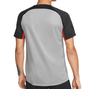 /D/N/DN2802-003_camiseta-gris-nike-barcelona-entrenamiento-dri-fit-strike-ucl_2_completa-trasera.jpg