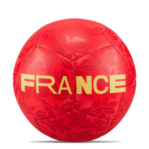 /D/Q/DQ7285-657-4_pelota-futbol-7-rojo-nike-francia-pitch-talla-4_2_completa-trasera.jpg