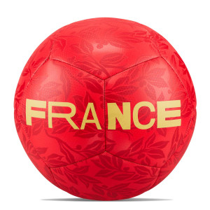 /D/Q/DQ7285-657-5_pelota-futbol-11-rojo-nike-francia-pitch-talla-5_2_completa-trasera.jpg