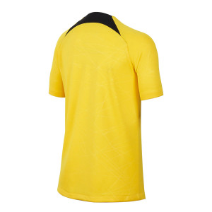 /D/R/DR4919-720_camiseta-amarilla-nike-4a-psg-x-jordan-nino-pre-match-academy-pro_2_completa-trasera.jpg