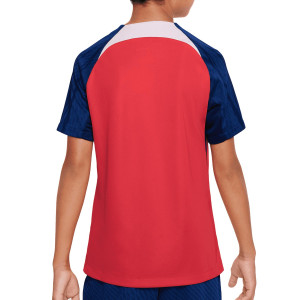 /D/X/DX3073-680_camiseta-roja--azul-marino-nike-atletico-entrenamiento-nino-dri-fit-strike_2_completa-trasera.jpg