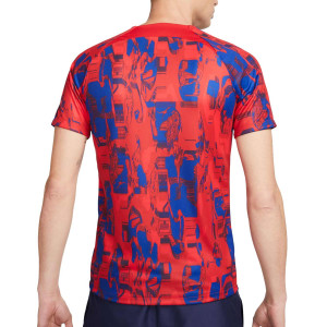 /D/X/DX3604-613_camiseta-roja--azul-nike-atletico-pre-match-dri-fit-academy-pro_2_completa-trasera.jpg