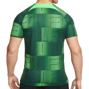 /D/X/DX3614-398_camiseta-verde-nike-liverpool-pre-match-dri-fit-academy-pro_2_completa-trasera.jpg