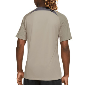 /D/Z/DZ0786-231_camiseta-gris-nike-psg-x-jordan-entrenamiento-dri-fit-strike-ucl_2_completa-trasera.jpg