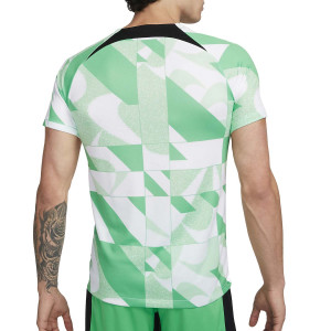 /D/Z/DZ1333-364_camiseta-verde-nike-atletico-pre-match-dri-fit-academy-pro-ucl_2_completa-trasera.jpg